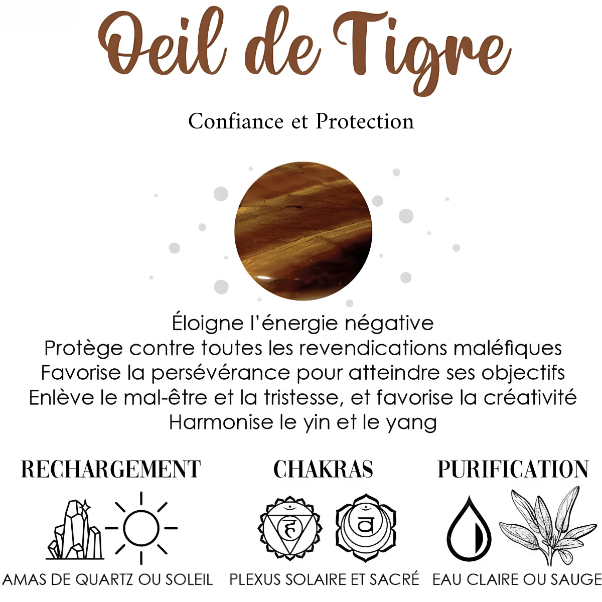 Fiche descriptive sur l’œil de tigre avec ses propriétés protectrices, méthodes de purification et chakras associés, rechargement au soleil ou quartz.