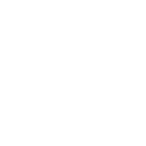 Logo FidgetLab Blanc